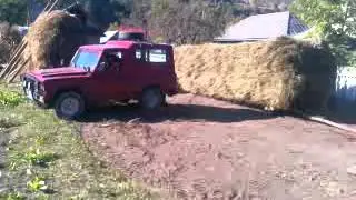 Aro 243 la munca
