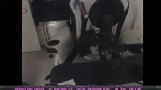 when DSP called his cat Derich