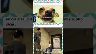 XDXD......