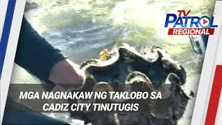 Mga nagnakaw ng taklobo sa Cadiz City tinutugis | TV Patrol Regional
