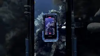 How to Shoot Underwater Photography on your iPhone #scubadiving #proshotcase  #ocean