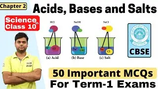 Acids, Bases and Salts MCQs : Class 10 Science chapter 2 Important MCQs | Term-1 MCQ