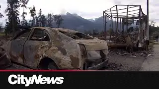 Jasper wildfire expected to cost insurance industry $700M: Report
