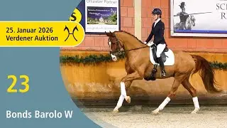 23 Bonds Barolo W by Bonds - L' Espoir | Verden Auction Online - Sporthorses & Youngster - Jan., 25