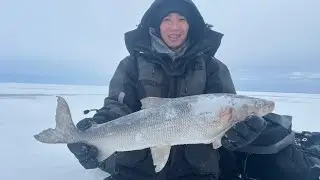 Windy Sunday Can&rsquo;tStopUs ​⁠@ Big Bay Point, Lake Simcoe