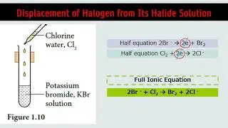 REDOX 1.1 PART D (Displacement of Halogen from Its Halide Solution)
