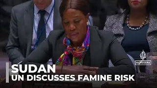Crisis worsens in Sudan as UN security council discusses famine risk