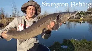 Crazy Pond Fishing for BIG Sturgeon | 208 Million Year Old Fish