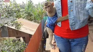 Extremely Scare High Place Dodo Hug Mom So Strong