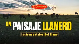Un Paisaje Llanero | M&uacute;sica Instrumental del Llano para Sentir y Recordar