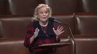 Rep. Debbie Dingell gives remarks on H.R. 1377 on the House Floor.