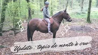 UPDATE TAPIS DE MONTE A CRU (venez en balade avec nous!)