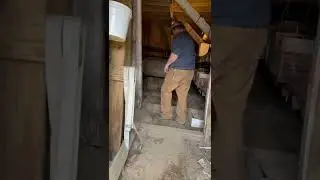Unfinished creepy root cellar #shorts