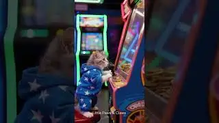 Cute cat playing coin pusher | Microscopic Harry Potter Animals | #MicroAnimals