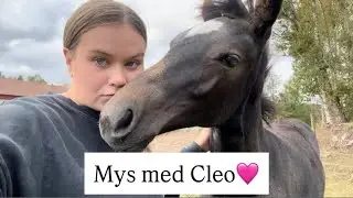 Gymnastikhoppning med Asta & mys med Cleo