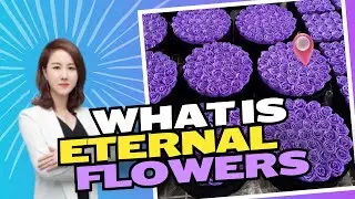 Everything You Need to Know About Eternal Flowers | Benefits & How They're Made