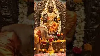 monkey praying to God #trending #funny