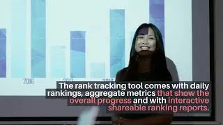 Should You Buy This SEO Tool?