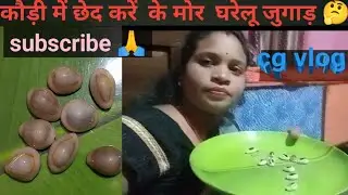 मोर 🤔 जुगाड़ू दिमाग से कौड़ी छेद कर के घरेलू जुगाड़ !!@dhaneshwarithakur750