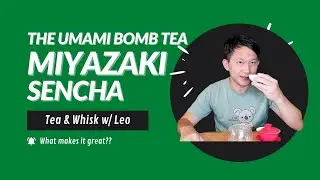 Miyazaki Sencha - the umami bomb tea (What makes it great?)