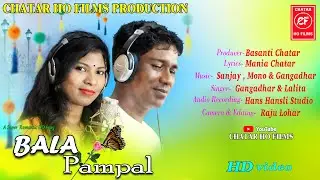 New ho video song 2020 || Bala Pampal || Singer-Gangadhar &Lalita