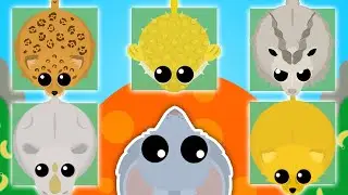 Small Loody gets Rare Animals in MOPE.IO