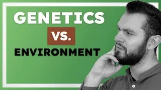 Genetics or Environment: Are You Born Highly Sensitive or Did You Develop HSP Over Time?