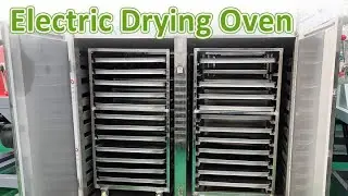 Electric Drying Oven | Hot Air Circulation Drying Oven