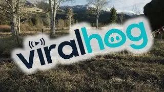 Being Bear Aware || ViralHog