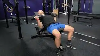 Incline Bench Dual Dumbbell Bicep Curls