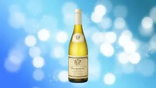 Review of Louis Jadot Chardonnay Couvent des Jacobins 2022