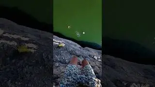 Следуйте по метро 🛟