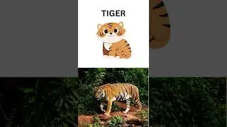 ZOO ANIMALS #ZooAnimalsForKids #KidsLearning #kids #kidsvideo #learning #education #abcd #cute #fun