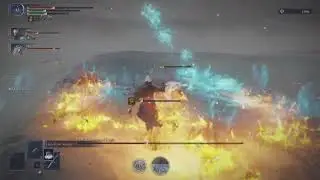 Destroying Everdark Gladius and Libra | CLUTCH.  #NIGHTREIGN #gaming #fromsoftware