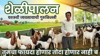 तुमचा फायदाच होणार, तोटा होणार नाहीच फक्त विडिओ पूर्ण पहा | Goat Farm Maharashtra | Osmanabadi Goat 