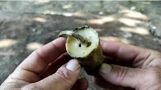 &Phi;&tau;&iota;ά&xi;&epsilon; &tau;&omicron; &delta;&iota;&kappa;ό &sigma;&omicron;&upsilon; &kappa;&epsilon;&rho;ί &epsilon;&pi;&iota;&beta;ί&omega;&sigma;&eta;&sigmaf; - Make your own survival candle