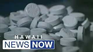 Alarming figures show Hawaii set new record last year for fentanyl drug overdoses