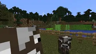 Crash Fish! E6