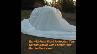 412 Plant Frost Protection Tips