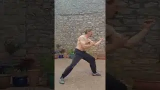 Тренировочное кунг-фу (Пай тан, Юи куй) Mantisshort 22