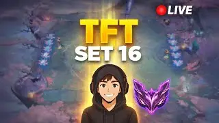 Master TFT on vise les 200 lps