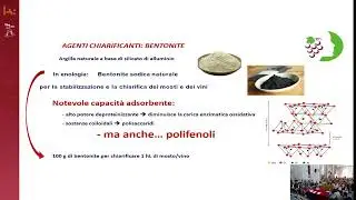 Guseppe Avellone - Il vino ed i suoi sottoprodotti