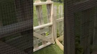 Chicken Coop/ Garden project update. #4