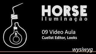 09 Video Aula Wysiwyg -  Cuelist Editor, Looks
