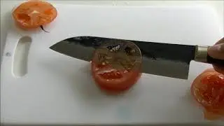 Japanese Santoku knife sharpest aogami super steel black cutting test with tomato