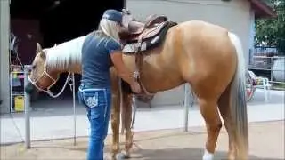 SKIP N MAGIC AQHA Palomino mare for sale