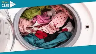 Best time to use washing machine to save money on energy bills in 'magic hour'