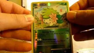Opening a Shiny Suicune Pokemon Tin