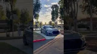 B9 S5 Audi Perfection #shorts #cars #audi #s5