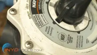 How To: Backwash a DE Filter